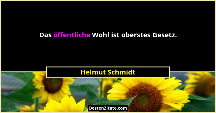 Das öffentliche Wohl ist oberstes Gesetz.... - Helmut Schmidt