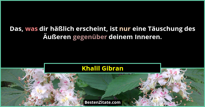 Das, was dir häßlich erscheint, ist nur eine Täuschung des Äußeren gegenüber deinem Inneren.... - Khalil Gibran