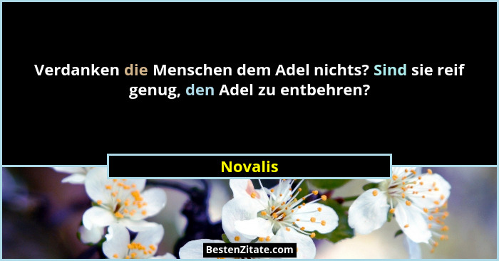 Verdanken die Menschen dem Adel nichts? Sind sie reif genug, den Adel zu entbehren?... - Novalis