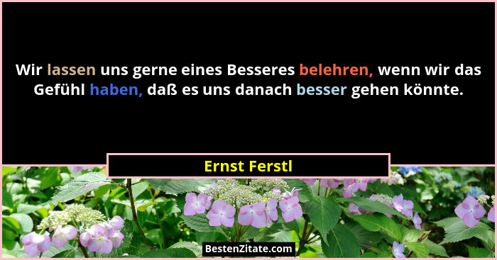 Wir lassen uns gerne eines Besseres belehren, wenn wir das Gefühl haben, daß es uns danach besser gehen könnte.... - Ernst Ferstl