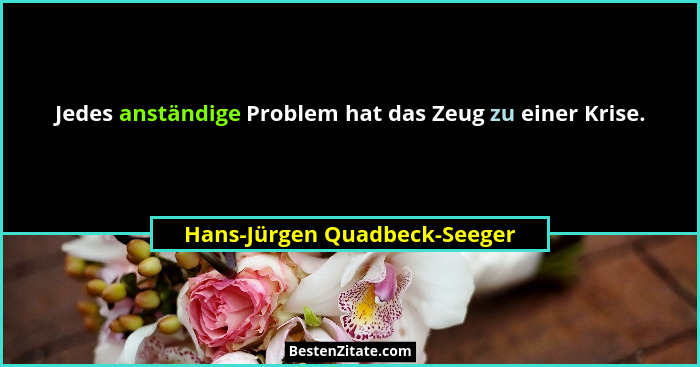 Jedes anständige Problem hat das Zeug zu einer Krise.... - Hans-Jürgen Quadbeck-Seeger