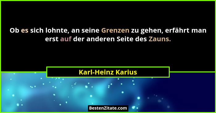 Ob es sich lohnte, an seine Grenzen zu gehen, erfährt man erst auf der anderen Seite des Zauns.... - Karl-Heinz Karius