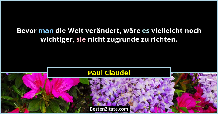 Bevor man die Welt verändert, wäre es vielleicht noch wichtiger, sie nicht zugrunde zu richten.... - Paul Claudel