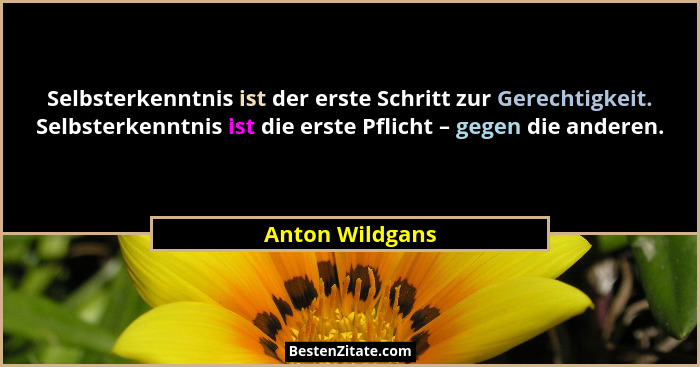 Selbsterkenntnis ist der erste Schritt zur Gerechtigkeit. Selbsterkenntnis ist die erste Pflicht – gegen die anderen.... - Anton Wildgans
