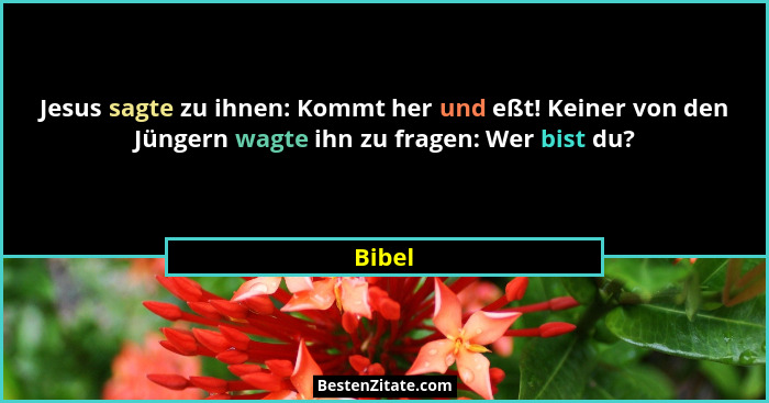 Jesus sagte zu ihnen: Kommt her und eßt! Keiner von den Jüngern wagte ihn zu fragen: Wer bist du?... - Bibel