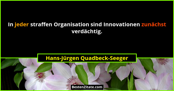 In jeder straffen Organisation sind Innovationen zunächst verdächtig.... - Hans-Jürgen Quadbeck-Seeger