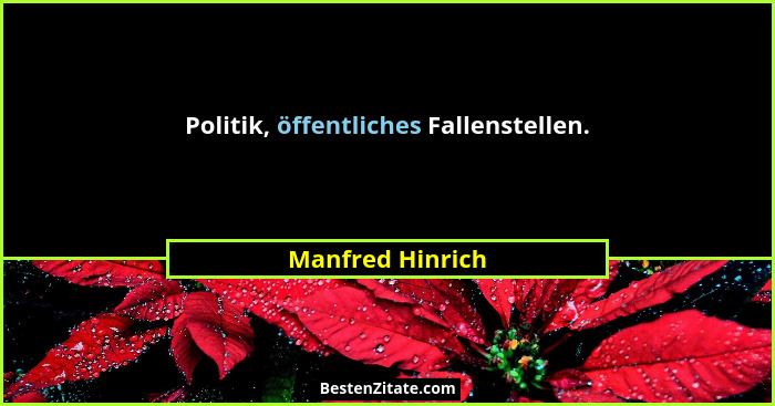 Politik, öffentliches Fallenstellen.... - Manfred Hinrich