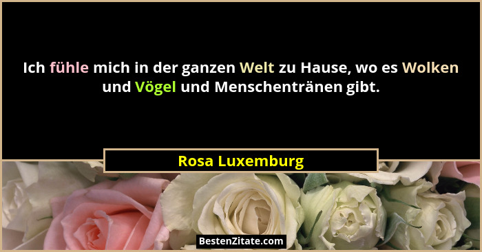 Ich fühle mich in der ganzen Welt zu Hause, wo es Wolken und Vögel und Menschentränen gibt.... - Rosa Luxemburg