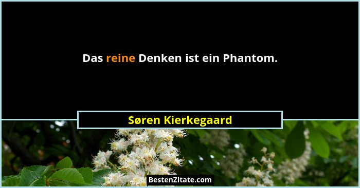 Das reine Denken ist ein Phantom.... - Søren Kierkegaard