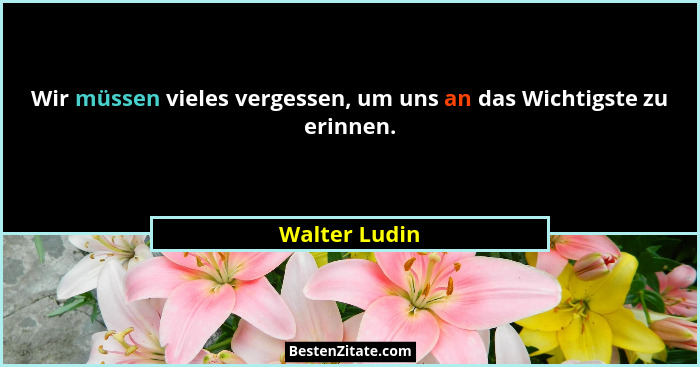 Wir müssen vieles vergessen, um uns an das Wichtigste zu erinnen.... - Walter Ludin