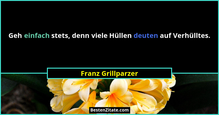 Geh einfach stets, denn viele Hüllen deuten auf Verhülltes.... - Franz Grillparzer