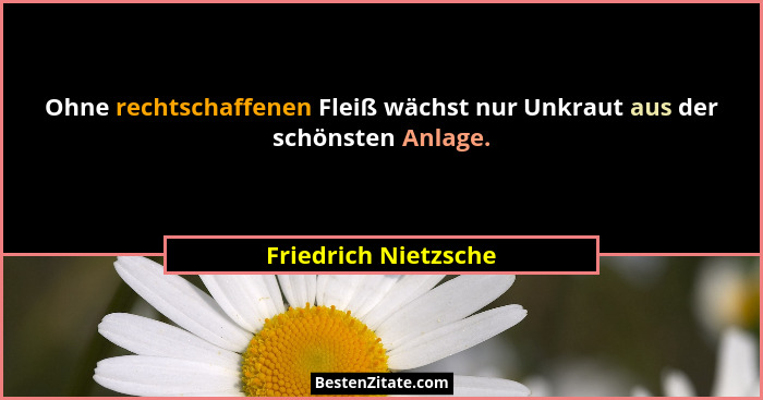 Ohne rechtschaffenen Fleiß wächst nur Unkraut aus der schönsten Anlage.... - Friedrich Nietzsche