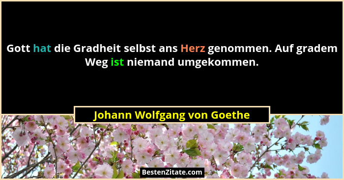 Gott hat die Gradheit selbst ans Herz genommen. Auf gradem Weg ist niemand umgekommen.... - Johann Wolfgang von Goethe