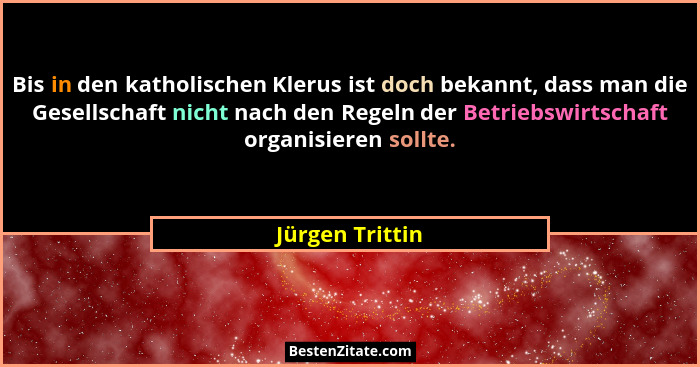 Bis in den katholischen Klerus ist doch bekannt, dass man die Gesellschaft nicht nach den Regeln der Betriebswirtschaft organisieren... - Jürgen Trittin