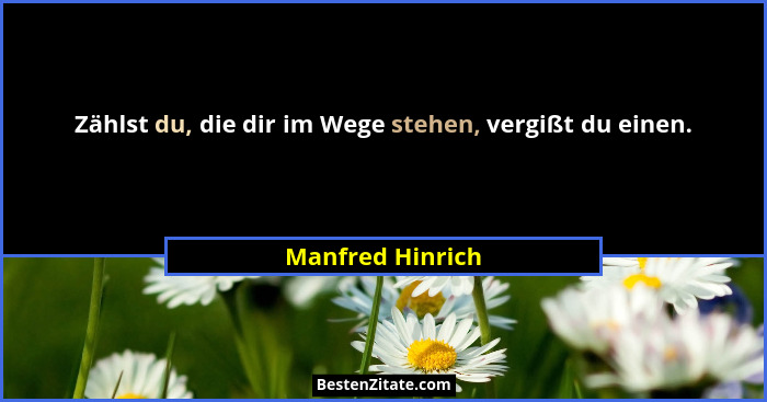 Zählst du, die dir im Wege stehen, vergißt du einen.... - Manfred Hinrich