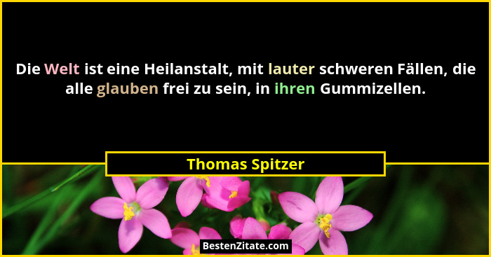 Die Welt ist eine Heilanstalt, mit lauter schweren Fällen, die alle glauben frei zu sein, in ihren Gummizellen.... - Thomas Spitzer