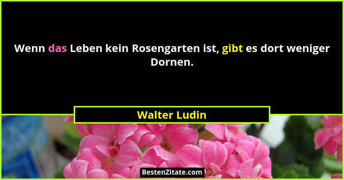 Wenn das Leben kein Rosengarten ist, gibt es dort weniger Dornen.... - Walter Ludin