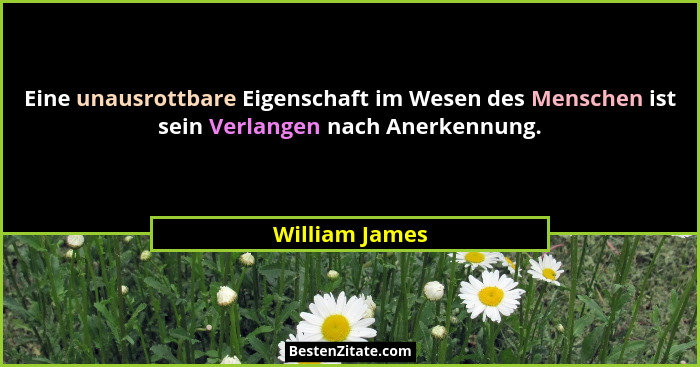 Eine unausrottbare Eigenschaft im Wesen des Menschen ist sein Verlangen nach Anerkennung.... - William James