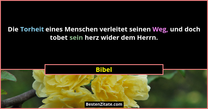 Die Torheit eines Menschen verleitet seinen Weg, und doch tobet sein herz wider dem Herrn.... - Bibel