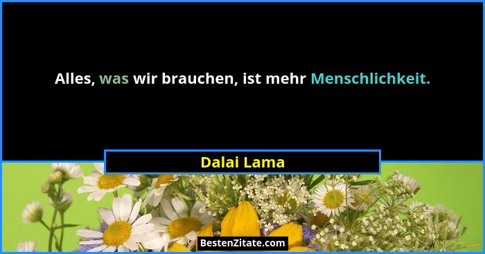 Alles, was wir brauchen, ist mehr Menschlichkeit.... - Dalai Lama