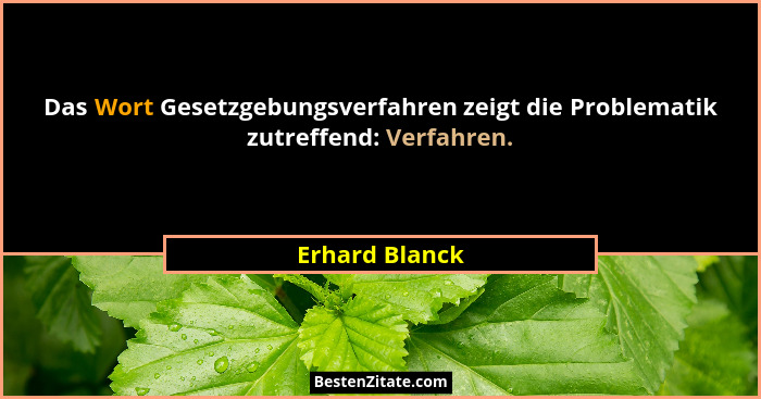 Das Wort Gesetzgebungsverfahren zeigt die Problematik zutreffend: Verfahren.... - Erhard Blanck