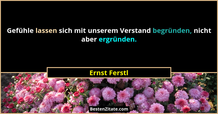 Gefühle lassen sich mit unserem Verstand begründen, nicht aber ergründen.... - Ernst Ferstl