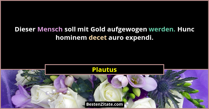 Dieser Mensch soll mit Gold aufgewogen werden. Hunc hominem decet auro expendi.... - Plautus