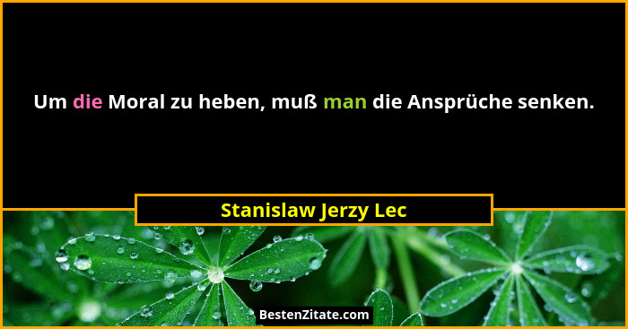 Um die Moral zu heben, muß man die Ansprüche senken.... - Stanislaw Jerzy Lec