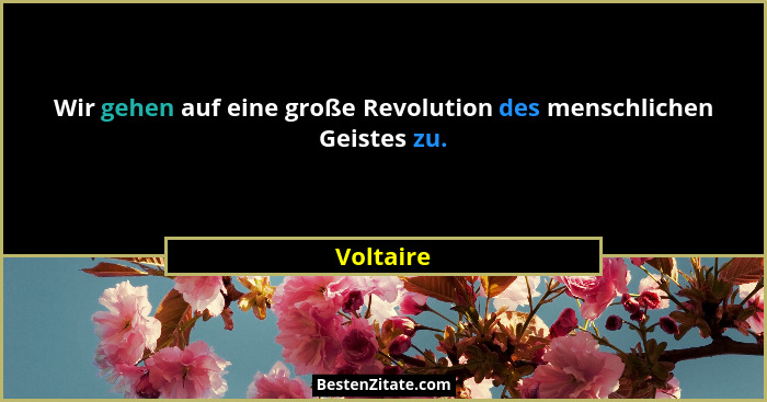 Wir gehen auf eine große Revolution des menschlichen Geistes zu.... - Voltaire