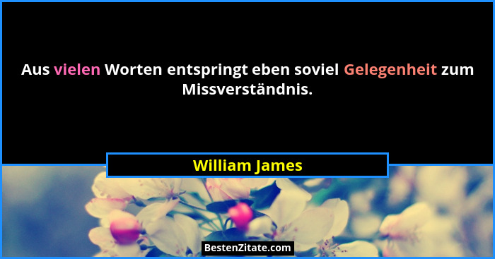 Aus vielen Worten entspringt eben soviel Gelegenheit zum Missverständnis.... - William James