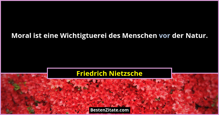 Moral ist eine Wichtigtuerei des Menschen vor der Natur.... - Friedrich Nietzsche