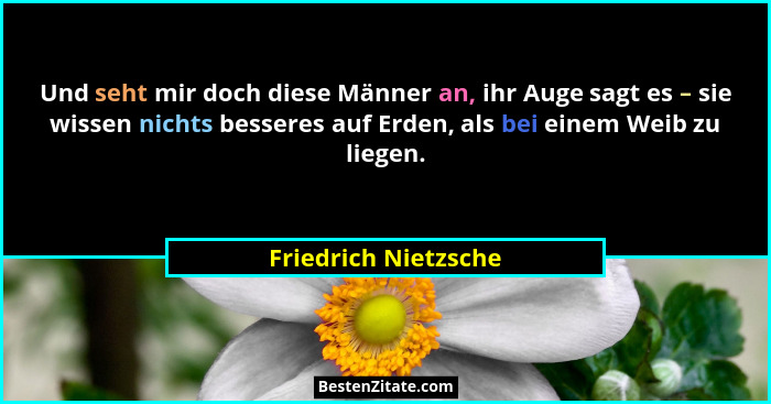 Und seht mir doch diese Männer an, ihr Auge sagt es – sie wissen nichts besseres auf Erden, als bei einem Weib zu liegen.... - Friedrich Nietzsche