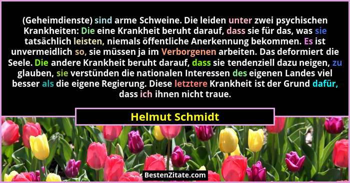 (Geheimdienste) sind arme Schweine. Die leiden unter zwei psychischen Krankheiten: Die eine Krankheit beruht darauf, dass sie für das... - Helmut Schmidt