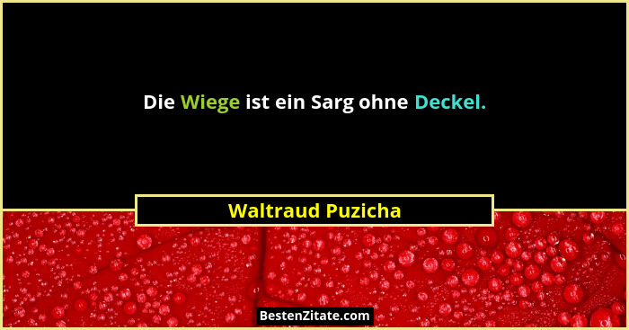 Die Wiege ist ein Sarg ohne Deckel.... - Waltraud Puzicha