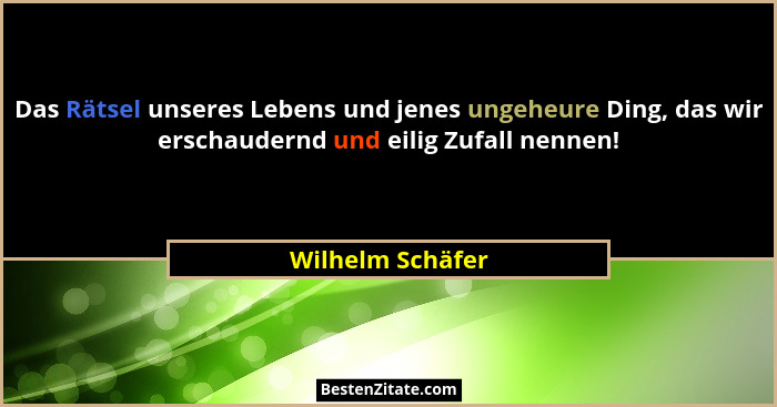 Das Rätsel unseres Lebens und jenes ungeheure Ding, das wir erschaudernd und eilig Zufall nennen!... - Wilhelm Schäfer