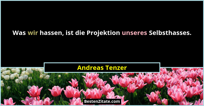 Was wir hassen, ist die Projektion unseres Selbsthasses.... - Andreas Tenzer