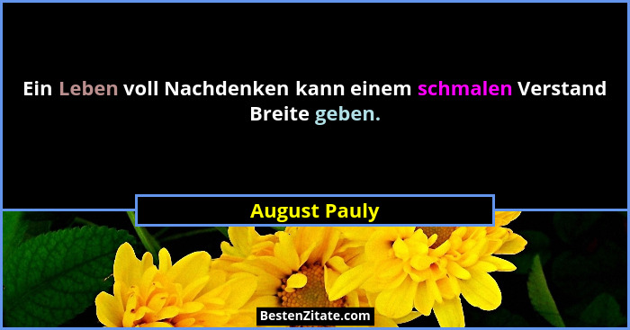 Ein Leben voll Nachdenken kann einem schmalen Verstand Breite geben.... - August Pauly