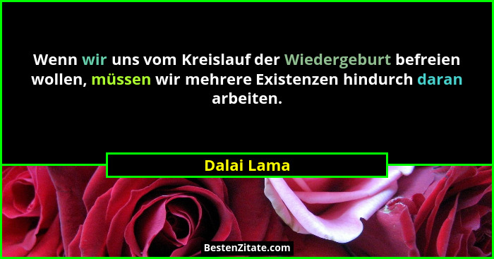 Wenn wir uns vom Kreislauf der Wiedergeburt befreien wollen, müssen wir mehrere Existenzen hindurch daran arbeiten.... - Dalai Lama