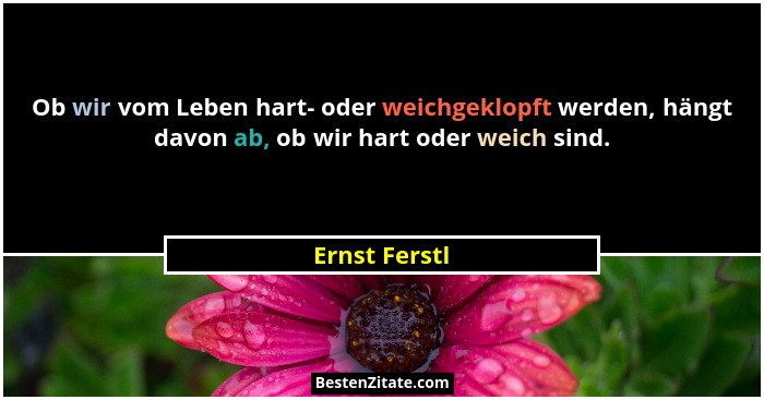 Ob wir vom Leben hart- oder weichgeklopft werden, hängt davon ab, ob wir hart oder weich sind.... - Ernst Ferstl