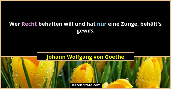 Wer Recht behalten will und hat nur eine Zunge, behält's gewiß.... - Johann Wolfgang von Goethe