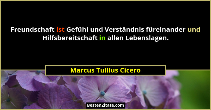 Freundschaft ist Gefühl und Verständnis füreinander und Hilfsbereitschaft in allen Lebenslagen.... - Marcus Tullius Cicero