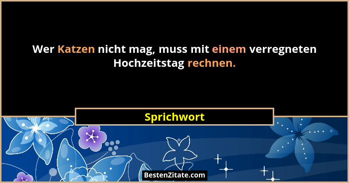 Wer Katzen nicht mag, muss mit einem verregneten Hochzeitstag rechnen.... - Sprichwort