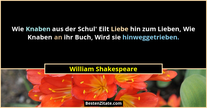 Wie Knaben aus der Schul' Eilt Liebe hin zum Lieben, Wie Knaben an ihr Buch, Wird sie hinweggetrieben.... - William Shakespeare