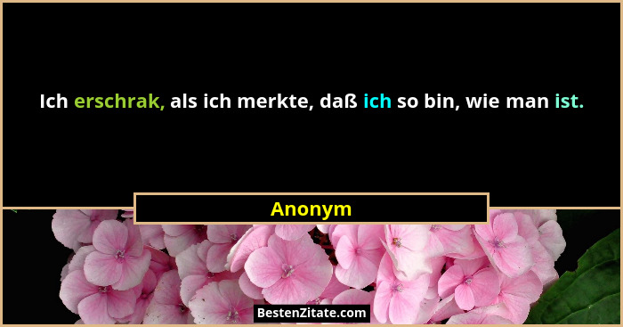 Ich erschrak, als ich merkte, daß ich so bin, wie man ist.... - Anonym