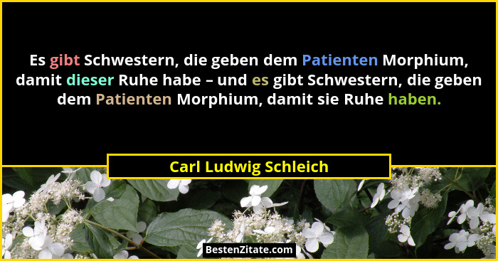 Es gibt Schwestern, die geben dem Patienten Morphium, damit dieser Ruhe habe – und es gibt Schwestern, die geben dem Patienten... - Carl Ludwig Schleich