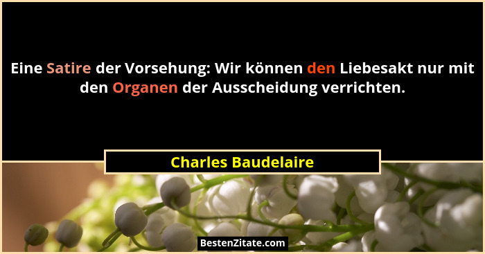Eine Satire der Vorsehung: Wir können den Liebesakt nur mit den Organen der Ausscheidung verrichten.... - Charles Baudelaire