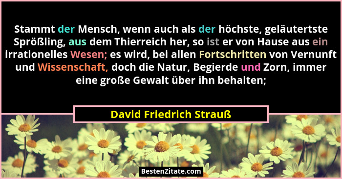 Stammt der Mensch, wenn auch als der höchste, geläutertste Sprößling, aus dem Thierreich her, so ist er von Hause aus ein irr... - David Friedrich Strauß