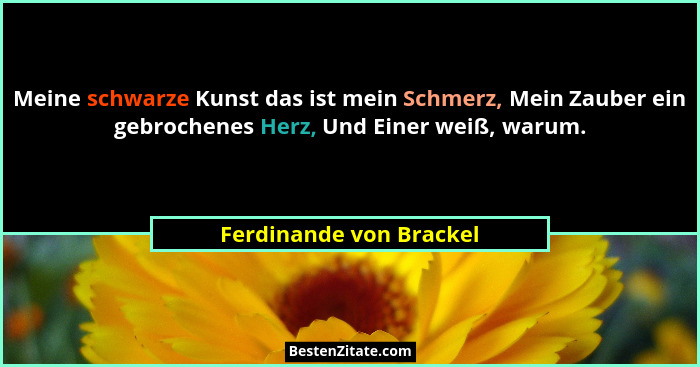 Meine schwarze Kunst das ist mein Schmerz, Mein Zauber ein gebrochenes Herz, Und Einer weiß, warum.... - Ferdinande von Brackel