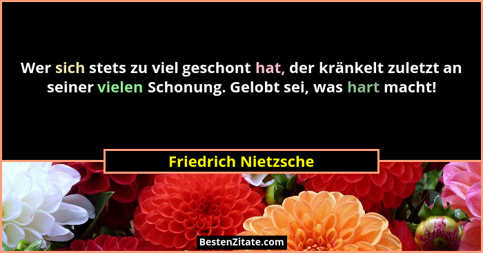 Wer sich stets zu viel geschont hat, der kränkelt zuletzt an seiner vielen Schonung. Gelobt sei, was hart macht!... - Friedrich Nietzsche
