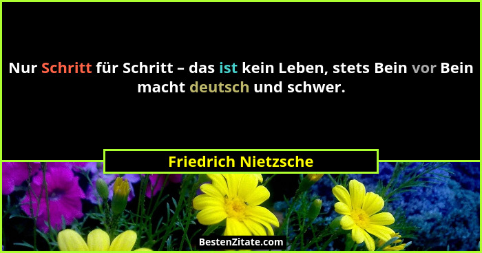 Nur Schritt für Schritt – das ist kein Leben, stets Bein vor Bein macht deutsch und schwer.... - Friedrich Nietzsche